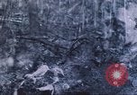 Image of carrier pigeon United States USA, 1920, second 16 stock footage video 65675058686