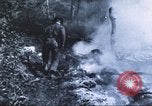 Image of carrier pigeon United States USA, 1920, second 29 stock footage video 65675058686