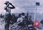 Image of carrier pigeon United States USA, 1920, second 56 stock footage video 65675058686
