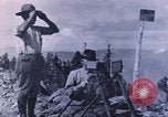 Image of carrier pigeon United States USA, 1920, second 57 stock footage video 65675058686