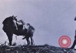 Image of carrier pigeon United States USA, 1920, second 60 stock footage video 65675058686