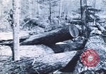 Image of Tillamook Oregon United States USA, 1933, second 14 stock footage video 65675058689