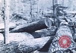 Image of Tillamook Oregon United States USA, 1933, second 15 stock footage video 65675058689