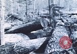 Image of Tillamook Oregon United States USA, 1933, second 16 stock footage video 65675058689
