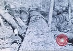 Image of Tillamook Oregon United States USA, 1933, second 22 stock footage video 65675058689