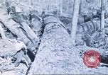 Image of Tillamook Oregon United States USA, 1933, second 23 stock footage video 65675058689