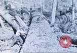 Image of Tillamook Oregon United States USA, 1933, second 24 stock footage video 65675058689