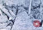 Image of Tillamook Oregon United States USA, 1933, second 25 stock footage video 65675058689