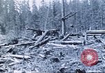 Image of Tillamook Oregon United States USA, 1933, second 33 stock footage video 65675058689