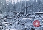 Image of Tillamook Oregon United States USA, 1933, second 34 stock footage video 65675058689
