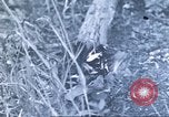 Image of Tillamook Oregon United States USA, 1933, second 43 stock footage video 65675058689
