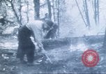 Image of Tillamook Oregon United States USA, 1933, second 44 stock footage video 65675058689