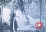Image of Tillamook Oregon United States USA, 1933, second 48 stock footage video 65675058689