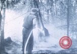 Image of Tillamook Oregon United States USA, 1933, second 49 stock footage video 65675058689