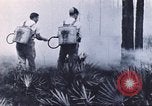 Image of firefighters United States USA, 1935, second 12 stock footage video 65675058691
