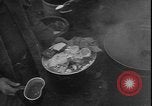 Image of United Nations forces China, 1950, second 10 stock footage video 65675058696