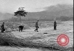 Image of Korean War Korea, 1951, second 28 stock footage video 65675058709