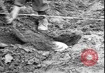 Image of Korean War Korea, 1951, second 36 stock footage video 65675058709