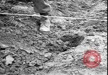 Image of Korean War Korea, 1951, second 37 stock footage video 65675058709
