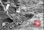 Image of Korean War Korea, 1951, second 38 stock footage video 65675058709