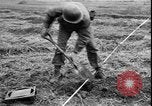 Image of Korean War Korea, 1951, second 46 stock footage video 65675058709