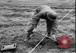 Image of Korean War Korea, 1951, second 47 stock footage video 65675058709