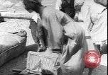 Immagine di Tomba di Mentemhet Luxor Egitto, 1950, secondo 28 filmato di repertorio 65675058716