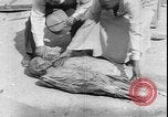 Immagine di Tomba di Mentemhet Luxor Egitto, 1950, secondo 47 filmato di repertorio 65675058716