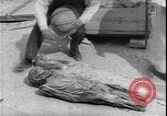 Immagine di Tomba di Mentemhet Luxor Egitto, 1950, secondo 49 filmato di repertorio 65675058716