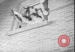 Image of Bertha Hertogh Holland Netherlands, 1950, second 52 stock footage video 65675058717