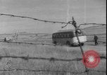 Immagine di I bambini greci La Grecia, 1950, secondo 20 filmato di repertorio 65675058724
