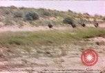 Standbild Strauße Afrika südlich der Sahara, 1958, aus Sekunde 33 historischem Filmmaterial Videoclip 65675058727
