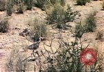Standbild Strauße Afrika südlich der Sahara, 1958, aus Sekunde 41 historischem Filmmaterial Videoclip 65675058727