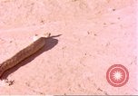 Standbild Snake Afrika südlich der Sahara, 1958, aus Sekunde 3 historischem Filmmaterial Videoclip 65675058728