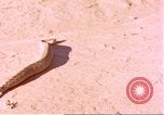 Standbild Snake Afrika südlich der Sahara, 1958, aus Sekunde 4 historischem Filmmaterial Videoclip 65675058728
