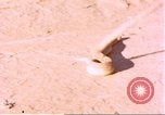 Standbild Snake Afrika südlich der Sahara, 1958, aus Sekunde 6 historischem Filmmaterial Videoclip 65675058728