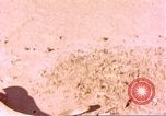 Standbild Snake Afrika südlich der Sahara, 1958, aus Sekunde 9 historischem Filmmaterial Videoclip 65675058728