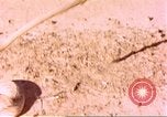 Standbild Snake Afrika südlich der Sahara, 1958, aus Sekunde 10 historischem Filmmaterial Videoclip 65675058728