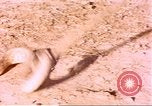 Standbild Snake Afrika südlich der Sahara, 1958, aus Sekunde 11 historischem Filmmaterial Videoclip 65675058728