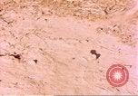 Standbild Snake Afrika südlich der Sahara, 1958, aus Sekunde 13 historischem Filmmaterial Videoclip 65675058728