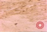 Standbild Snake Afrika südlich der Sahara, 1958, aus Sekunde 14 historischem Filmmaterial Videoclip 65675058728