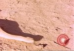 Standbild Snake Afrika südlich der Sahara, 1958, aus Sekunde 15 historischem Filmmaterial Videoclip 65675058728