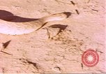 Standbild Snake Afrika südlich der Sahara, 1958, aus Sekunde 17 historischem Filmmaterial Videoclip 65675058728