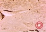 Standbild Snake Afrika südlich der Sahara, 1958, aus Sekunde 21 historischem Filmmaterial Videoclip 65675058728