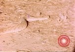 Standbild Snake Afrika südlich der Sahara, 1958, aus Sekunde 23 historischem Filmmaterial Videoclip 65675058728