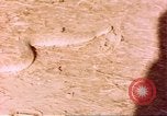 Standbild Snake Afrika südlich der Sahara, 1958, aus Sekunde 24 historischem Filmmaterial Videoclip 65675058728