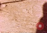Standbild Snake Afrika südlich der Sahara, 1958, aus Sekunde 25 historischem Filmmaterial Videoclip 65675058728