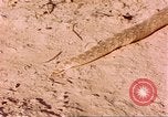 Standbild Snake Afrika südlich der Sahara, 1958, aus Sekunde 35 historischem Filmmaterial Videoclip 65675058728