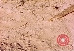 Standbild Snake Afrika südlich der Sahara, 1958, aus Sekunde 38 historischem Filmmaterial Videoclip 65675058728