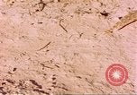 Standbild Snake Afrika südlich der Sahara, 1958, aus Sekunde 39 historischem Filmmaterial Videoclip 65675058728